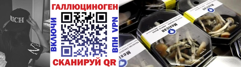 Галлюциногенные грибы Magic Shrooms  мега зеркало  Ессентукская 